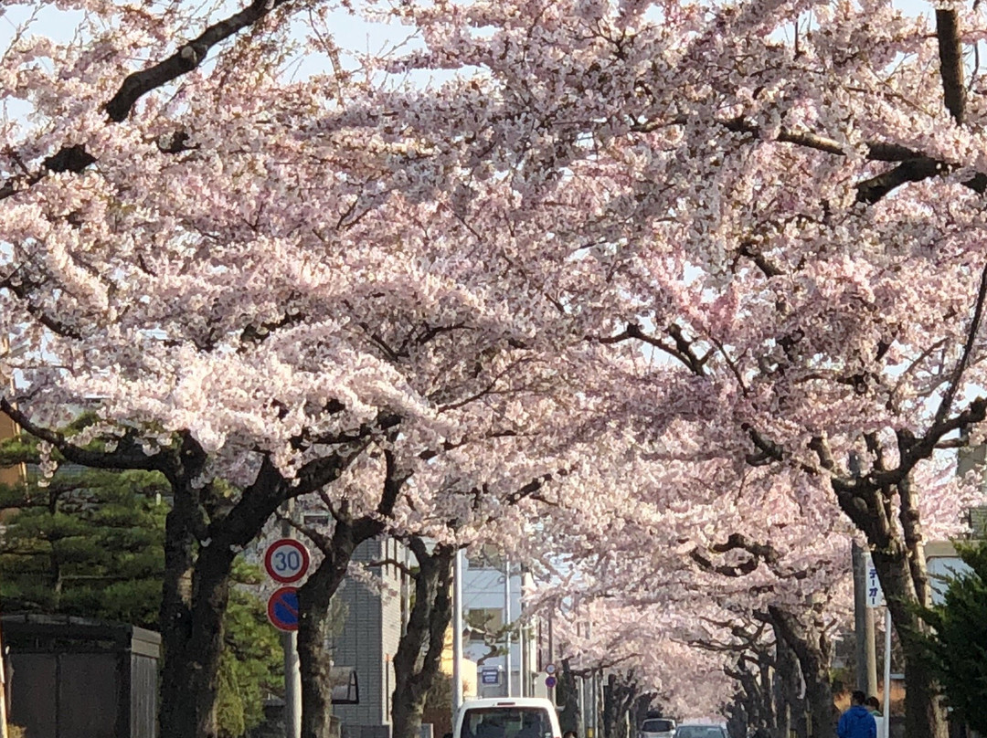 Sakuragaoka St.-函馆市必去景点
