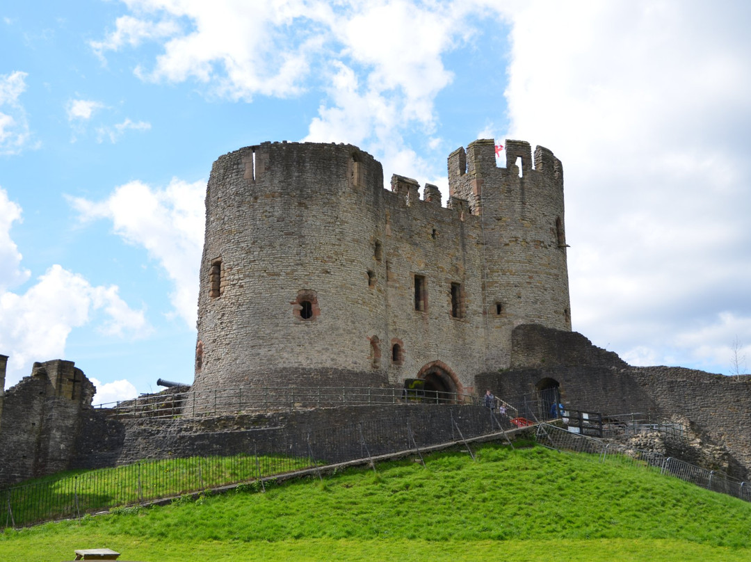 Dudley Zoo and Castle景点图片