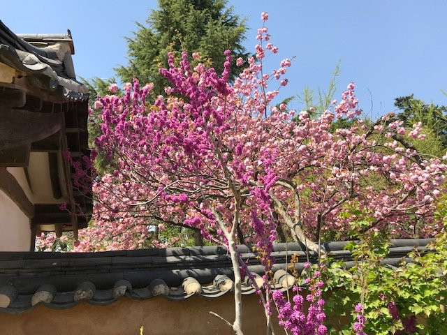 Heogyun and Heonanseolheon Memorial Hall-江陵市必去景点