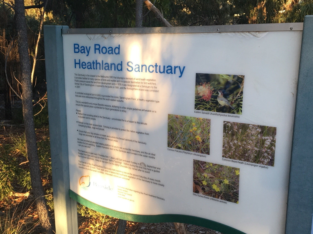 Bay Road Heathland Sanctuary-Sandringham必去景点