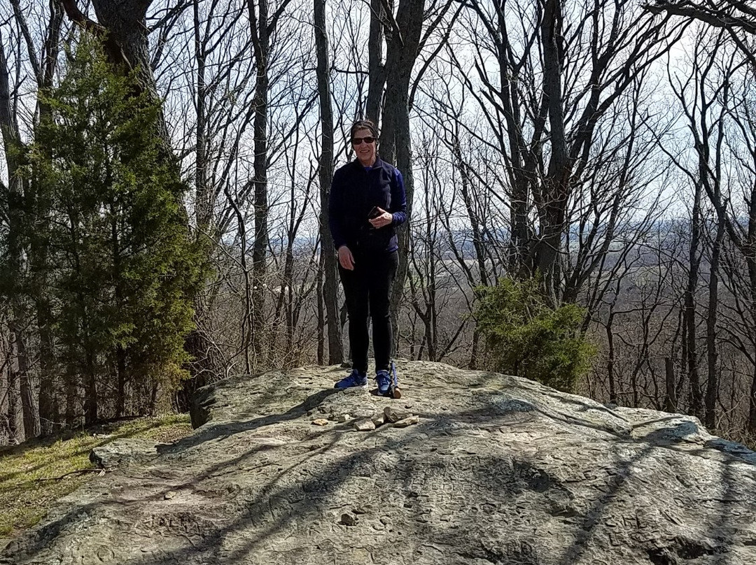 Jackson-Washington State Forest-Brownstown必去景点