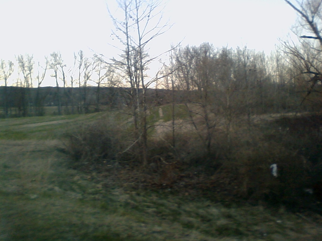 Rodeway Inn & Suites主图