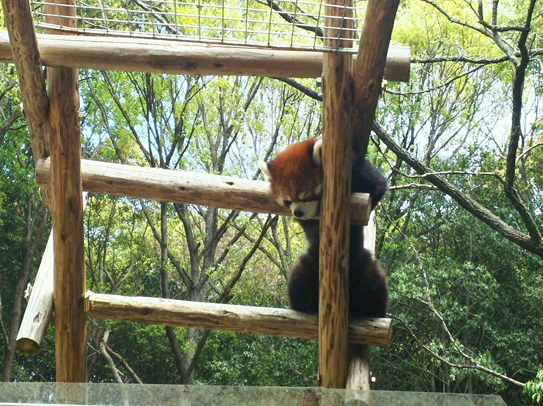 Ikeda Zoo景点图片