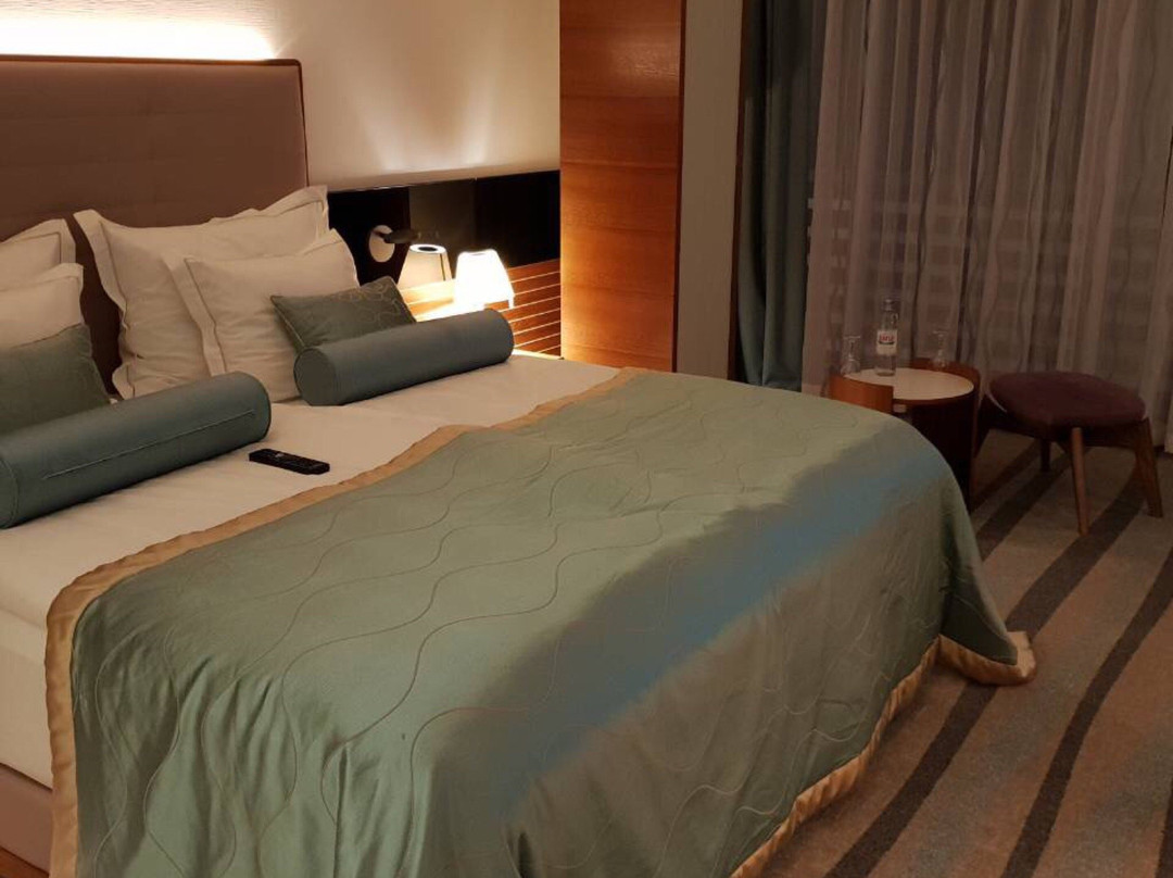 Hotel Navis主图