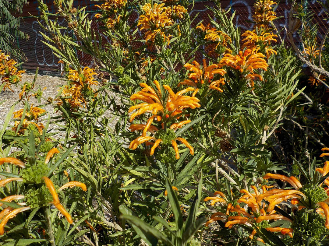 Alma Park-圣基尔达必去景点