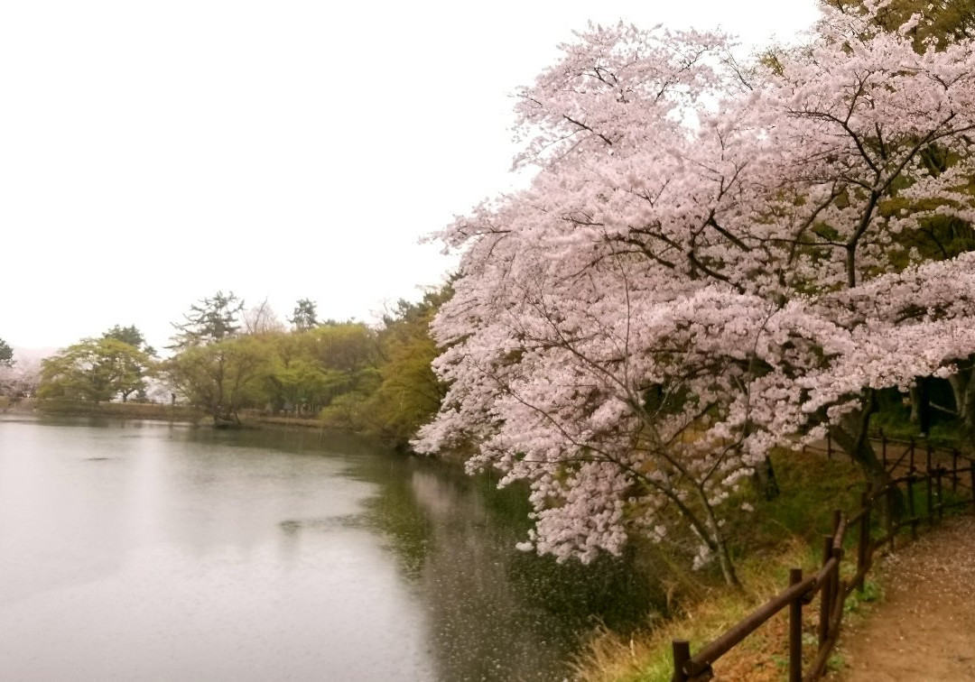 Jinhae NFRDI Environment Eco-park景点图片