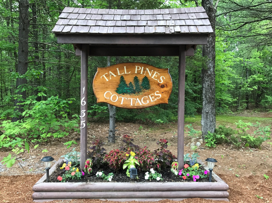 Tall Pines Cottages