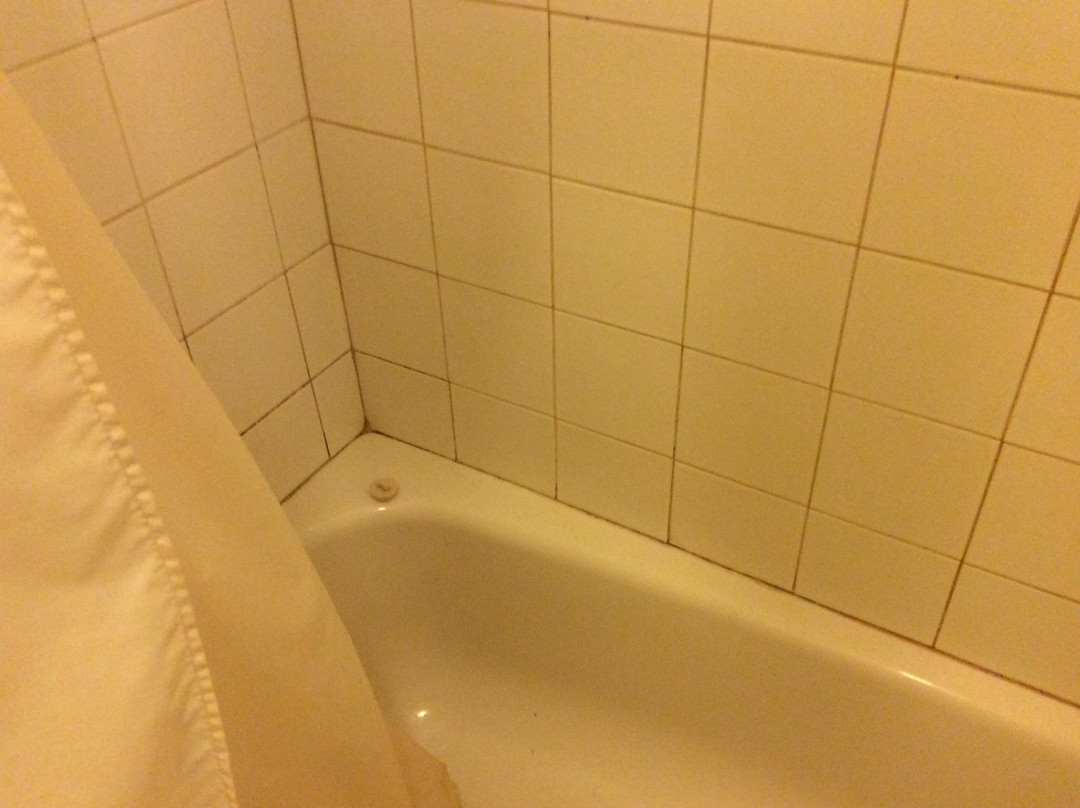 The Little Chalet Motel主图