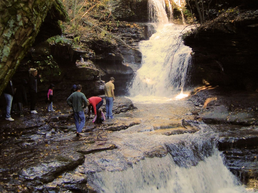 Glen Falls House主图