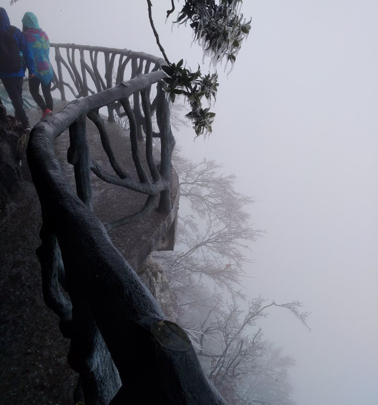 砂岩峰林地质公园-张家界市必去景点