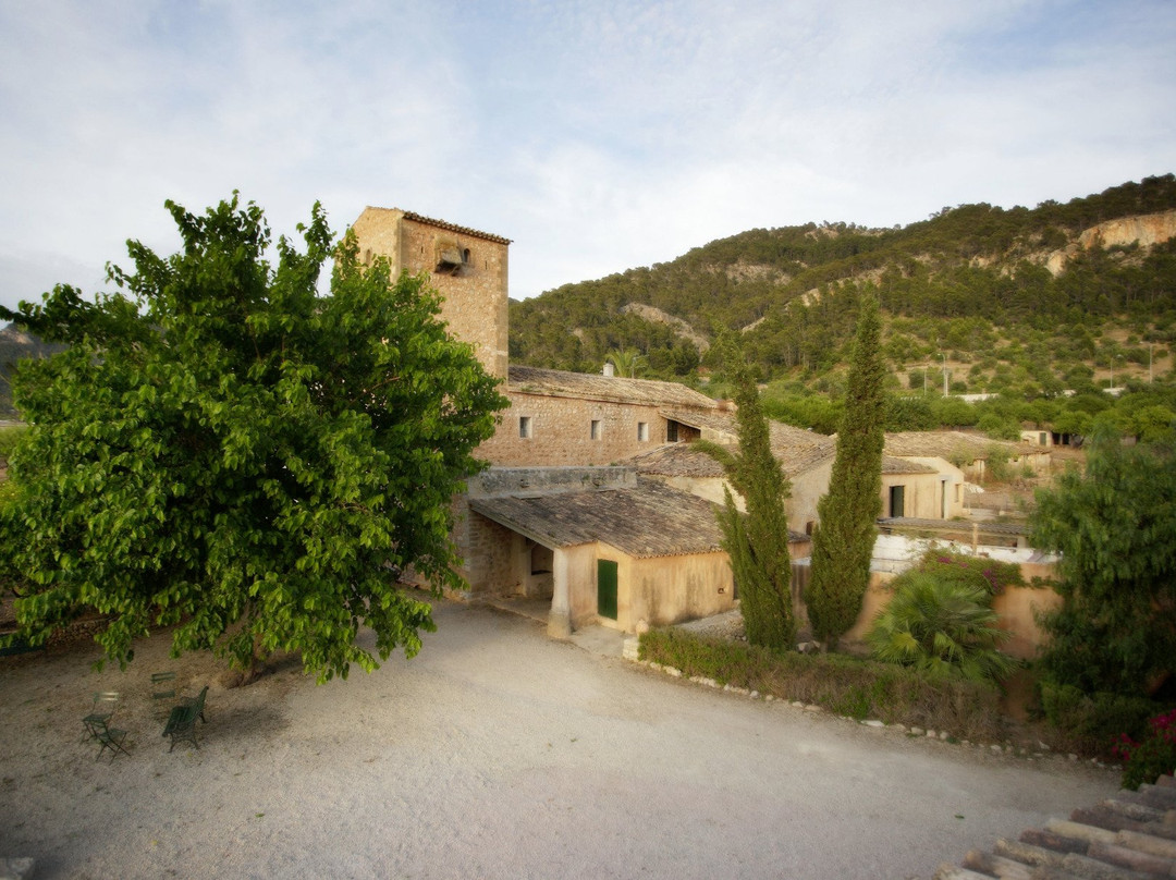 Finca Possessio Son Esteve主图