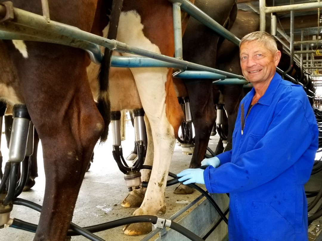 Shailers Bed & Breakfast主图