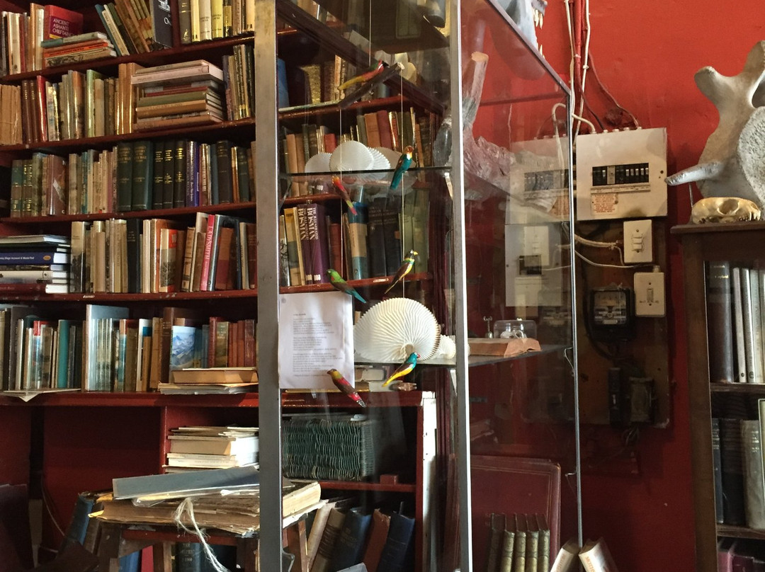 Quagga Rare Books and Art-Kalk Bay必去景点