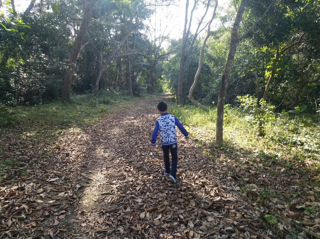 兴隆热带花园-万宁市必去景点