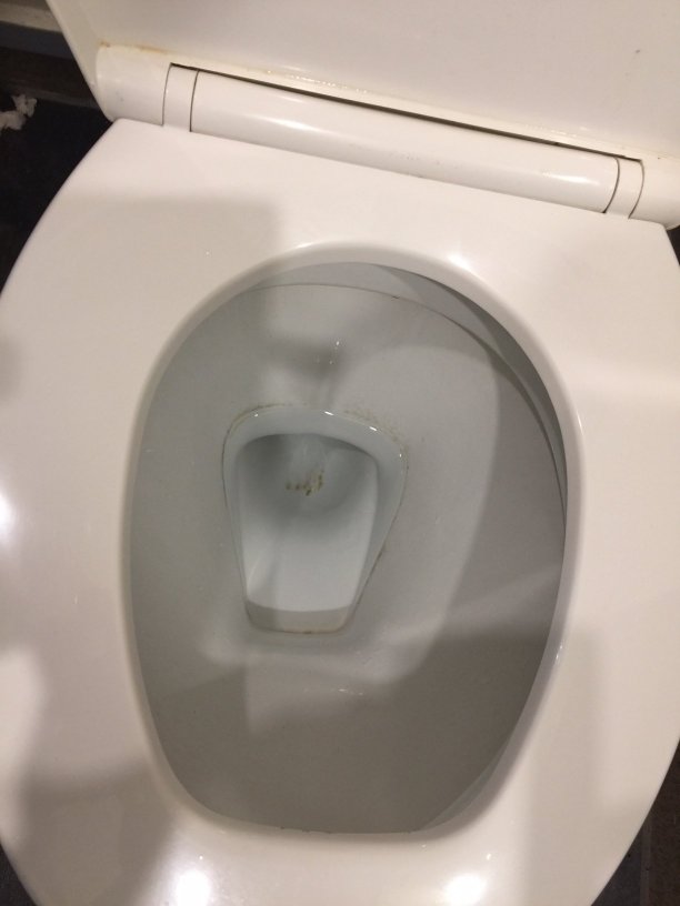 Distinction Whangarei Hotel & Conference Centre-泳池