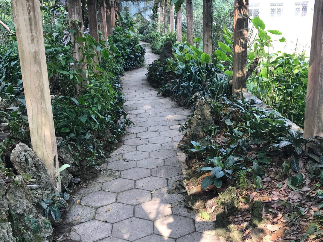 桂林植物园-桂林市必去景点