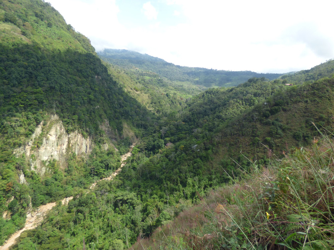 Parque Nacional Natural Sumapaz景点图片