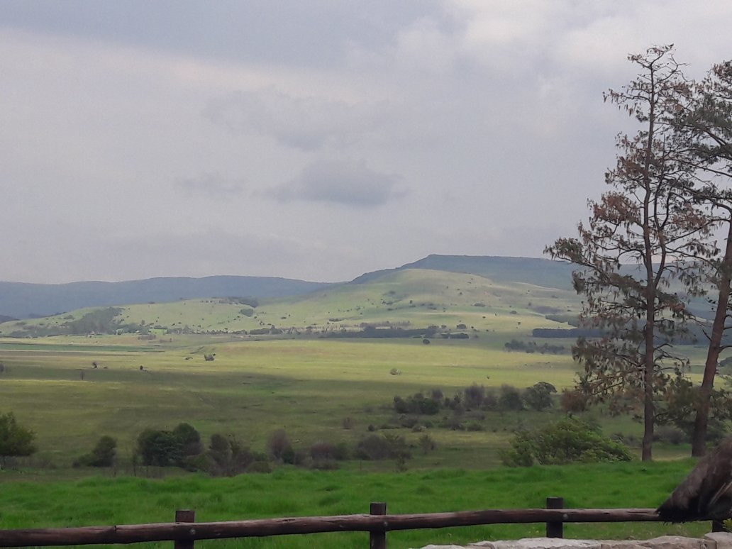 Petra's Country Guesthouse主图