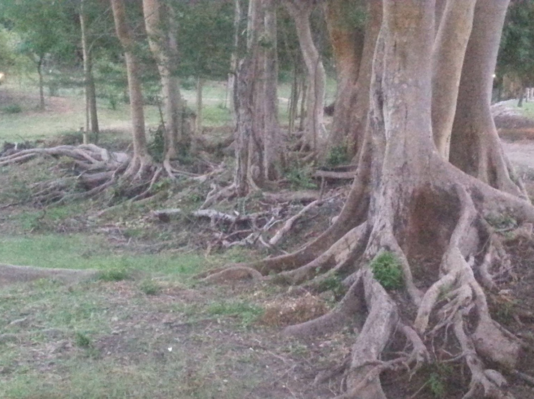 Voyager Ziwani Camp主图