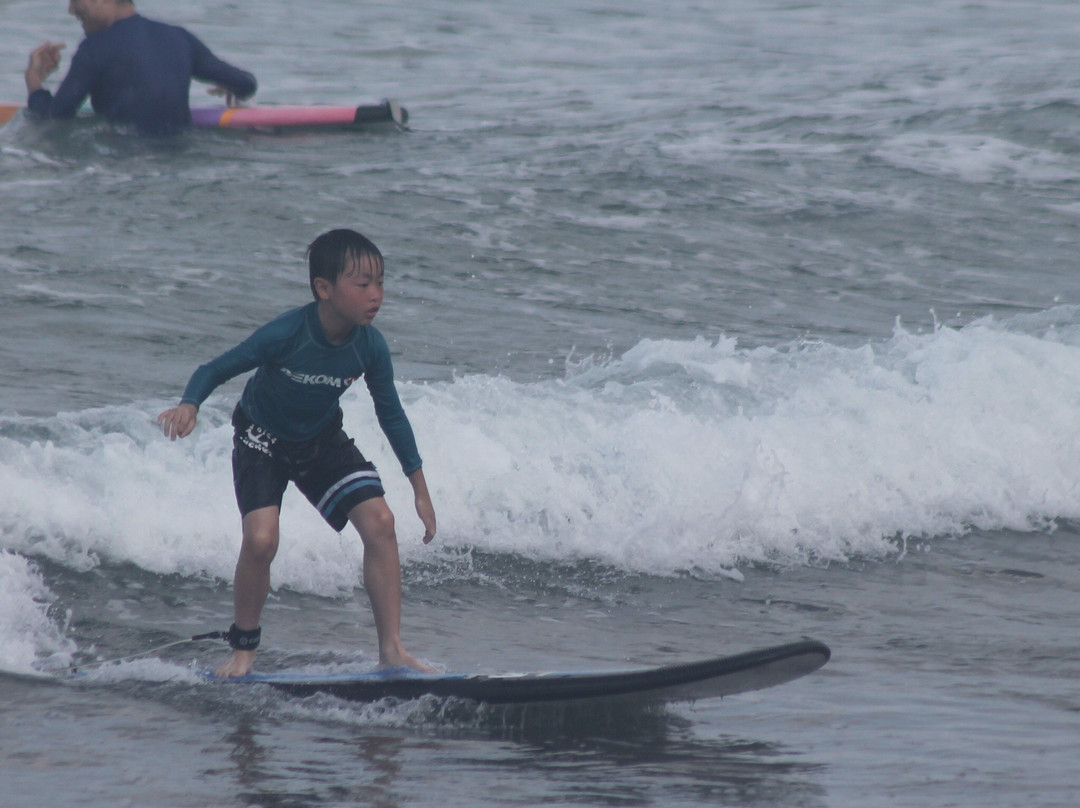 Dekom Bali Surf School - Day Tours景点图片