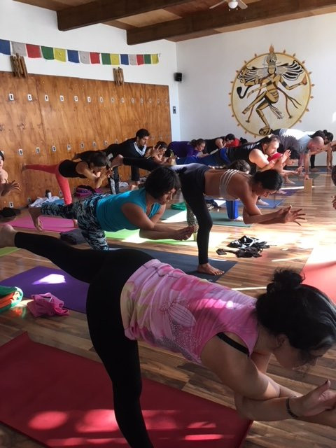 Atmaram Yoga Mandir-奎尔纳瓦卡必去景点