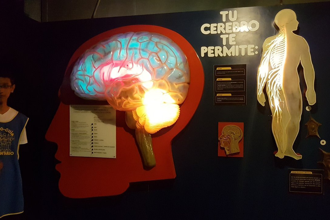 Museo de los Ninos (Children's Museum)-加拉加斯必去景点