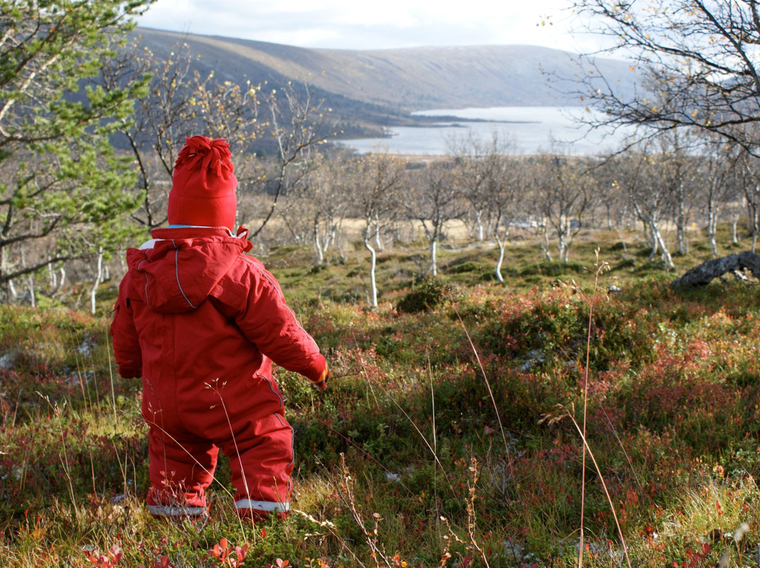Lövåsgårdens Fjällhotell主图