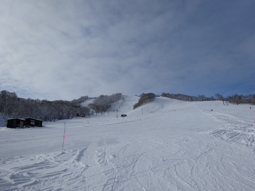 Kamoidake Kokusai Ski Resort-歌志内市必去景点