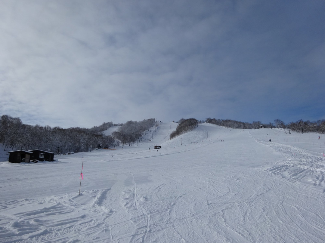 Kamoidake Kokusai Ski Resort景点图片