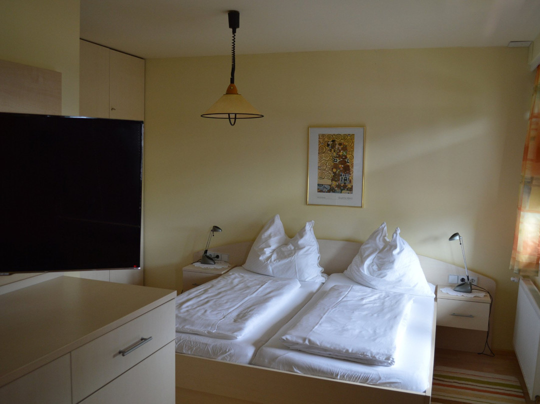 Pension Hartmann主图