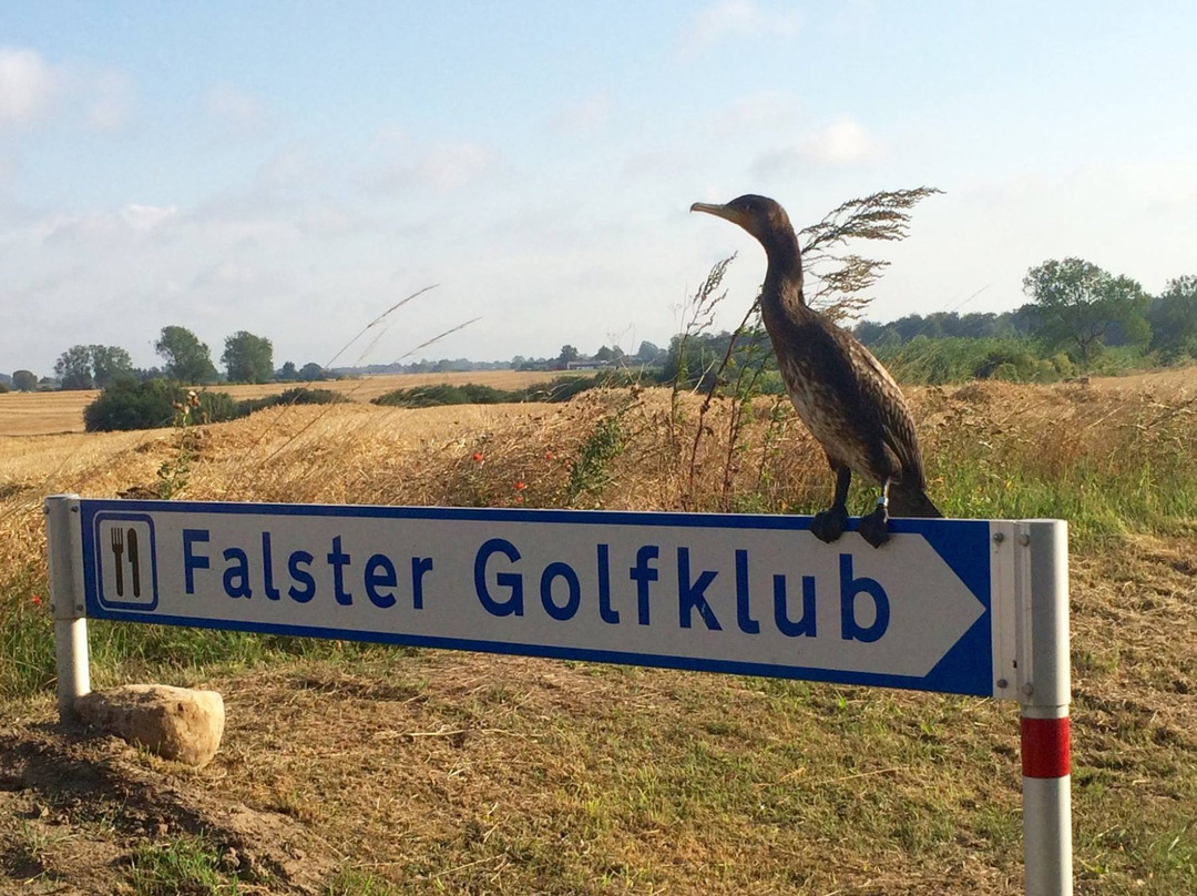 Falster Golfklub景点图片