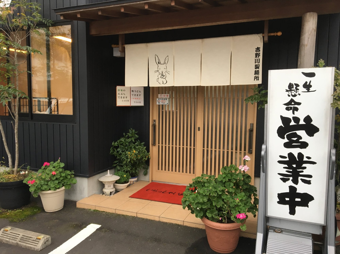 吉野川市餐馆和美食-Yoshinokawaseimenjo