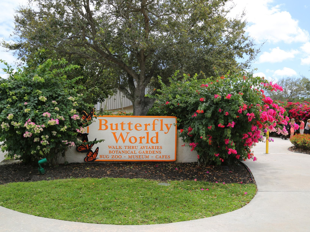 Butterfly World景点图片