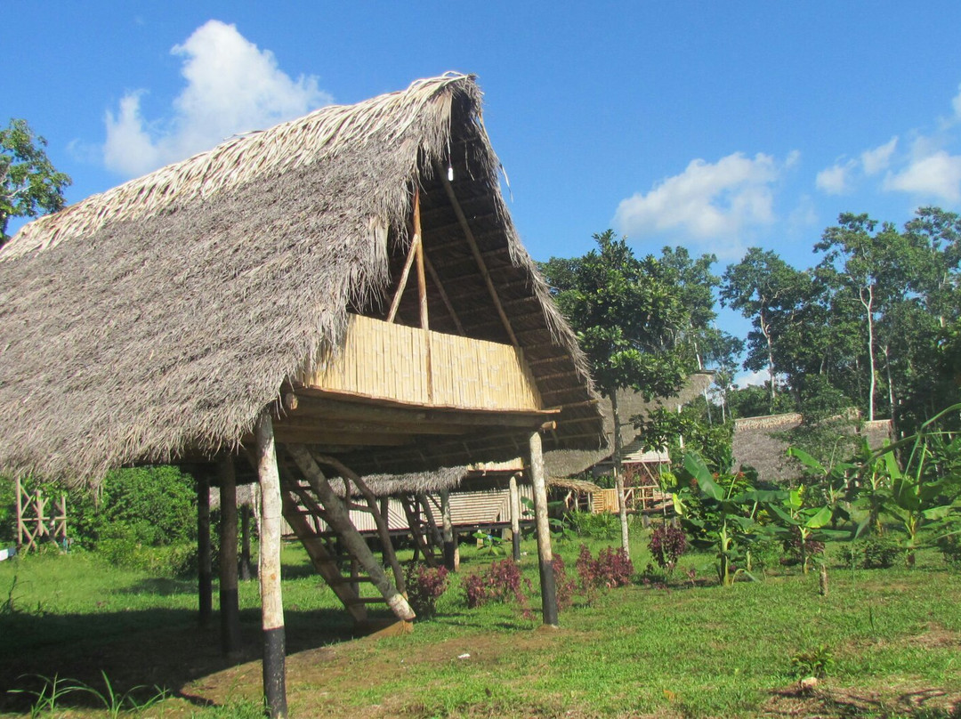 Llikchary Amazon-Coca必去景点