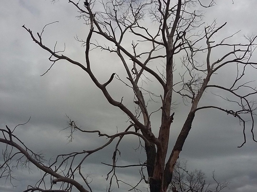 Bothasig Fynbos Nature Reserve-米那顿必去景点