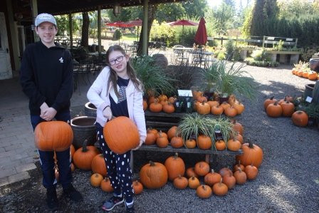 Smith Berry Barn-希尔斯伯勒必去景点