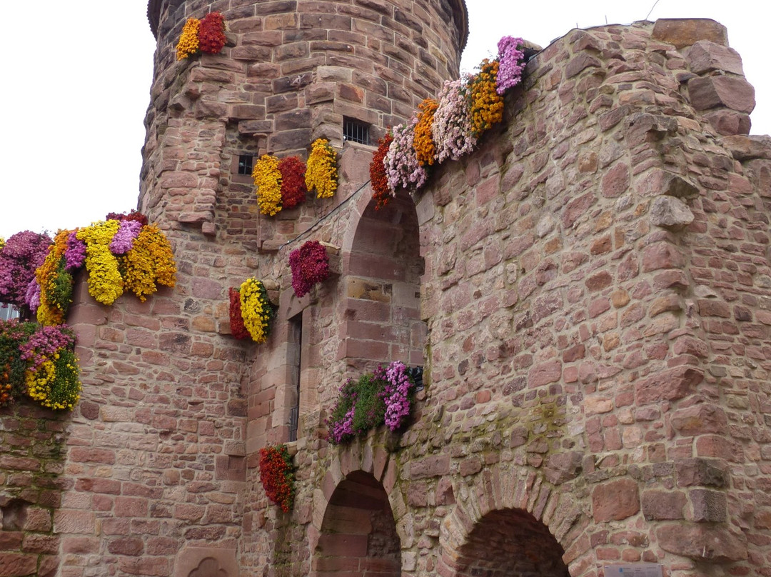 Fuehrungen + Rundgaenge-拉尔必去景点