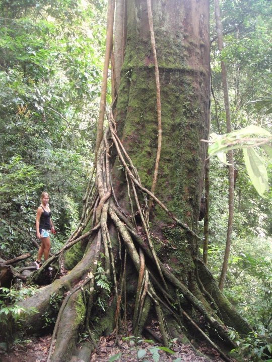 Flexible Travel-棉兰必去景点