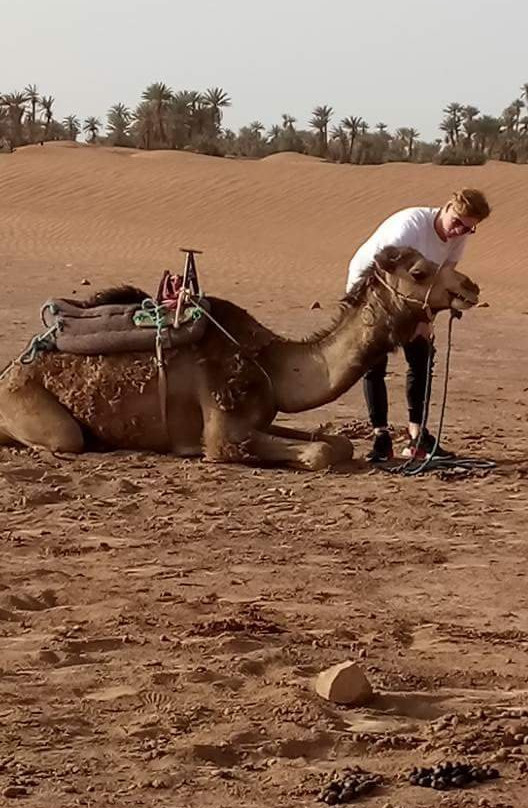 Morocco Private Tours-梅如卡必去景点