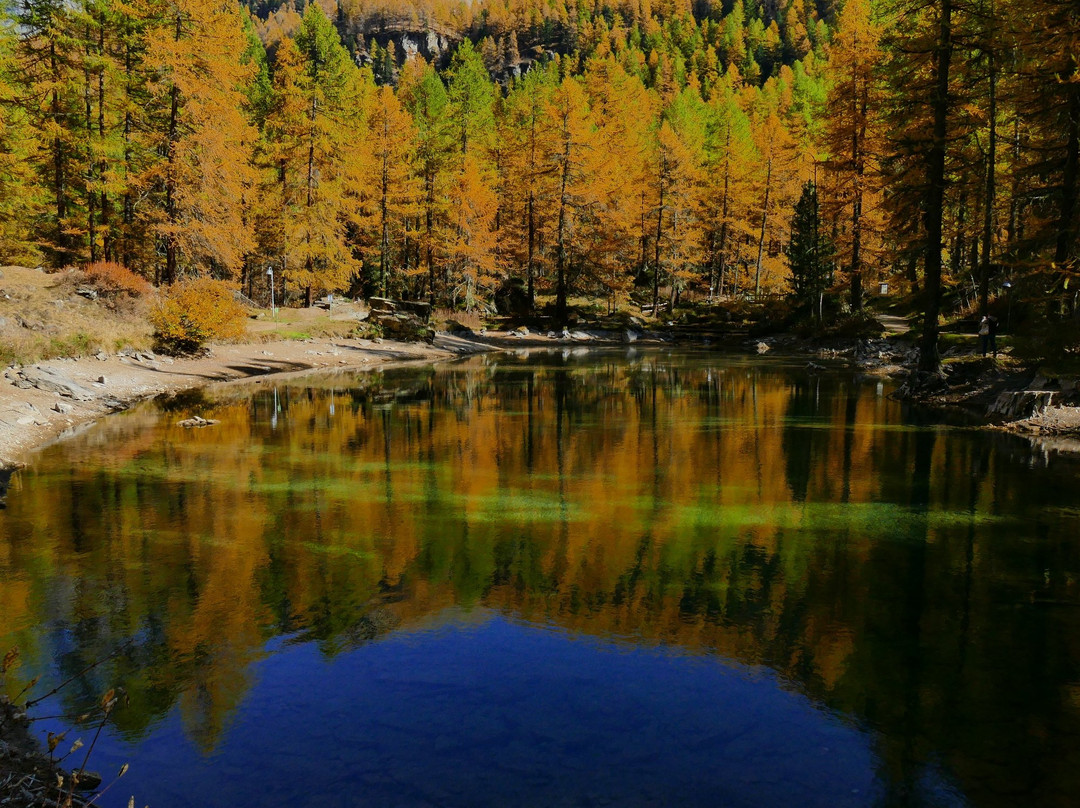 Lago Pellaud景点图片