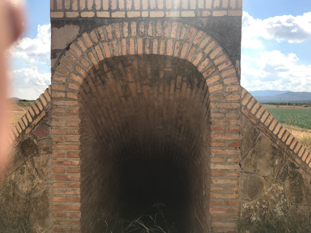 Refugio del Aeródromo景点图片