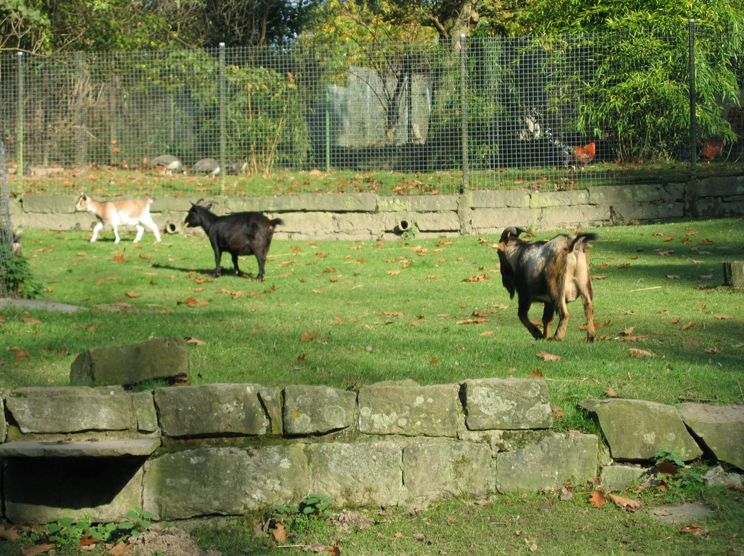 Fauna Park景点图片