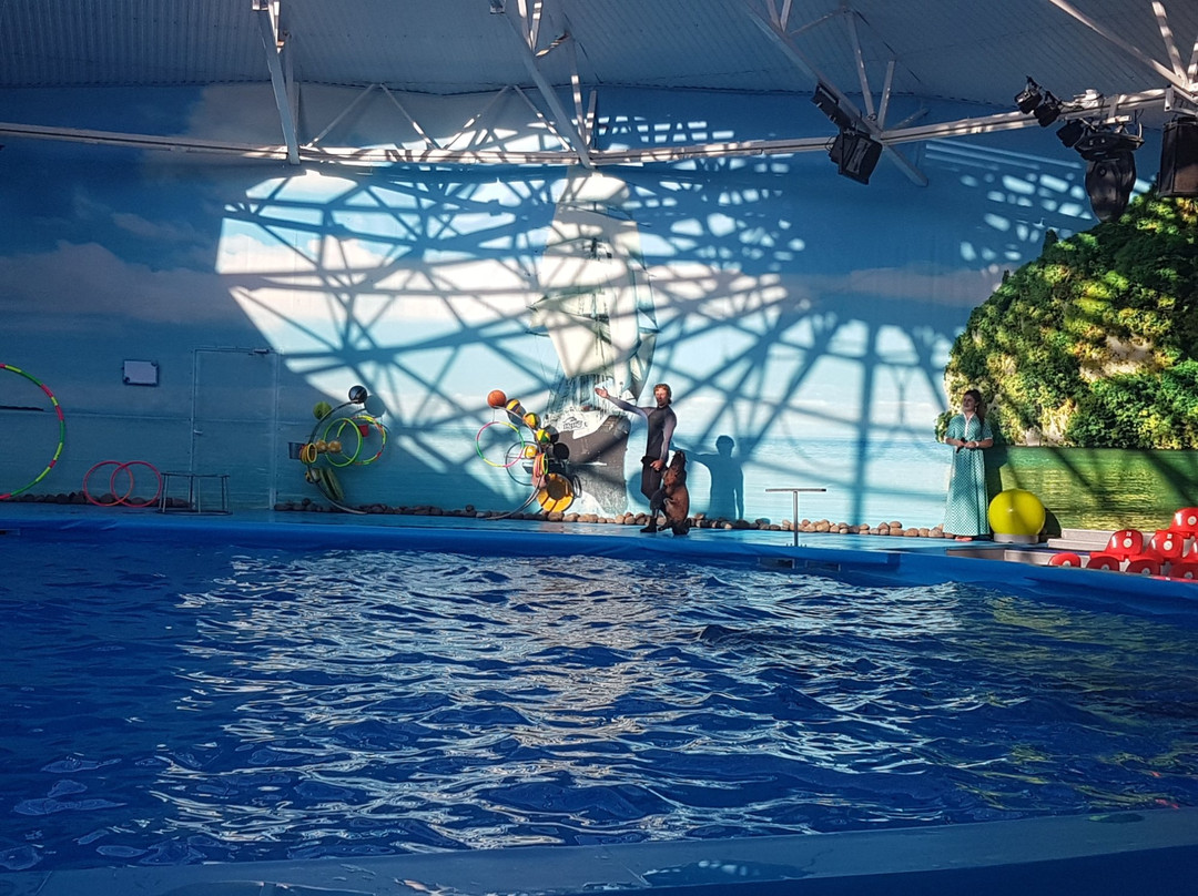 Minsk Dolphinarium Nemo-明斯克必去景点