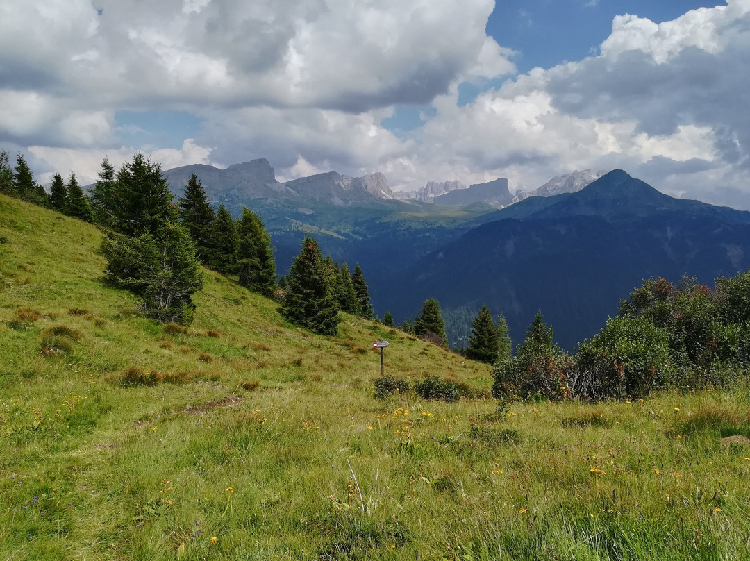 利维纳隆戈德尔科尔迪拉纳旅游景点-Col di Lana