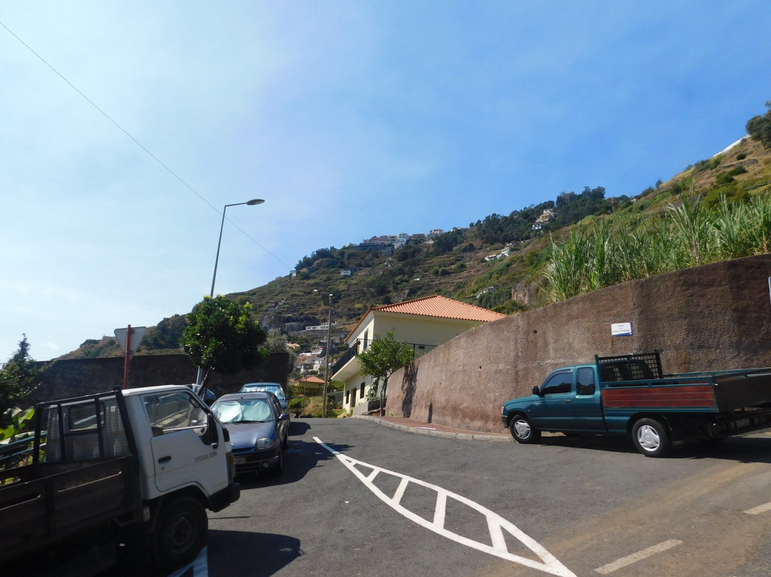 Madeira Green Train-Camara De Lobos必去景点