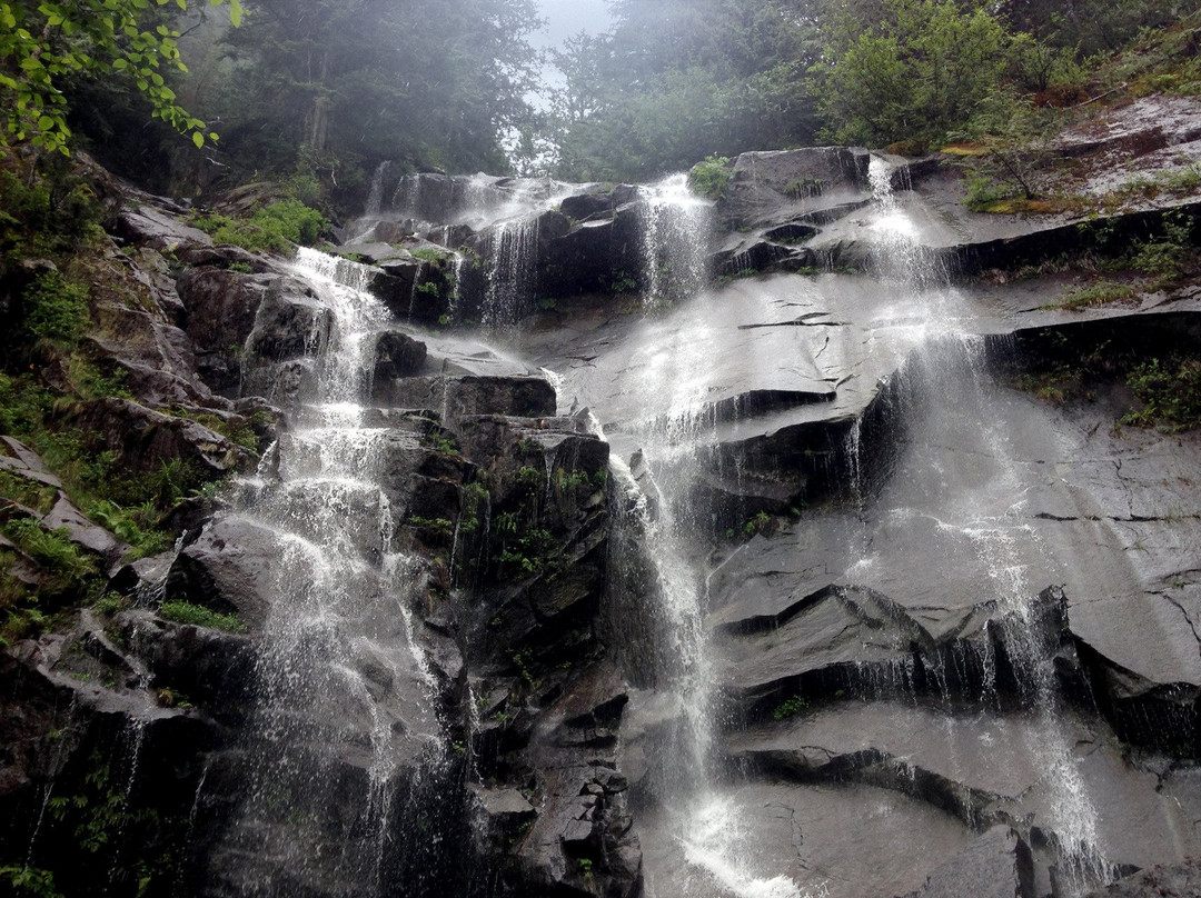 Adventures In Seattle-西雅图必去景点