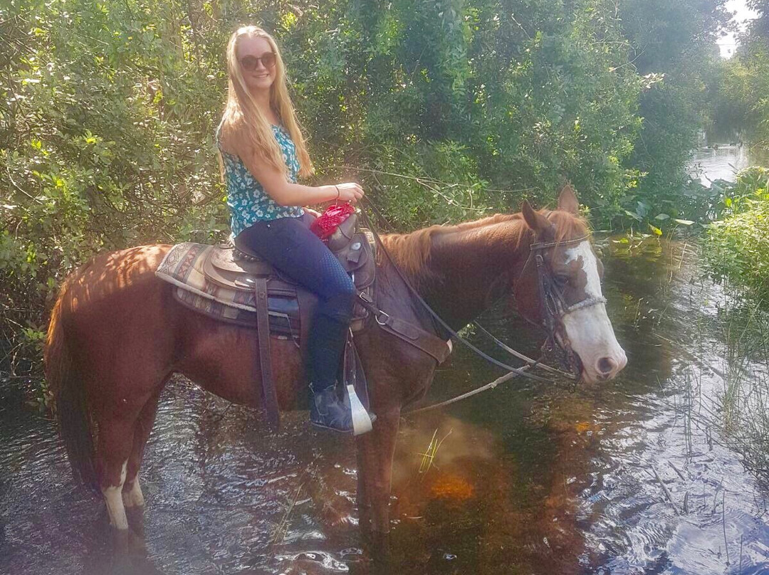 American Horse Trails-戴维必去景点