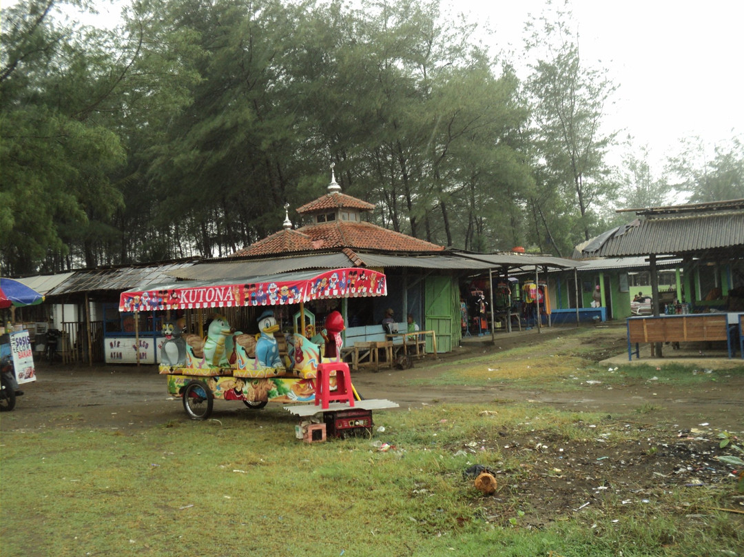 Cemara Sewu Beach-Cilacap必去景点