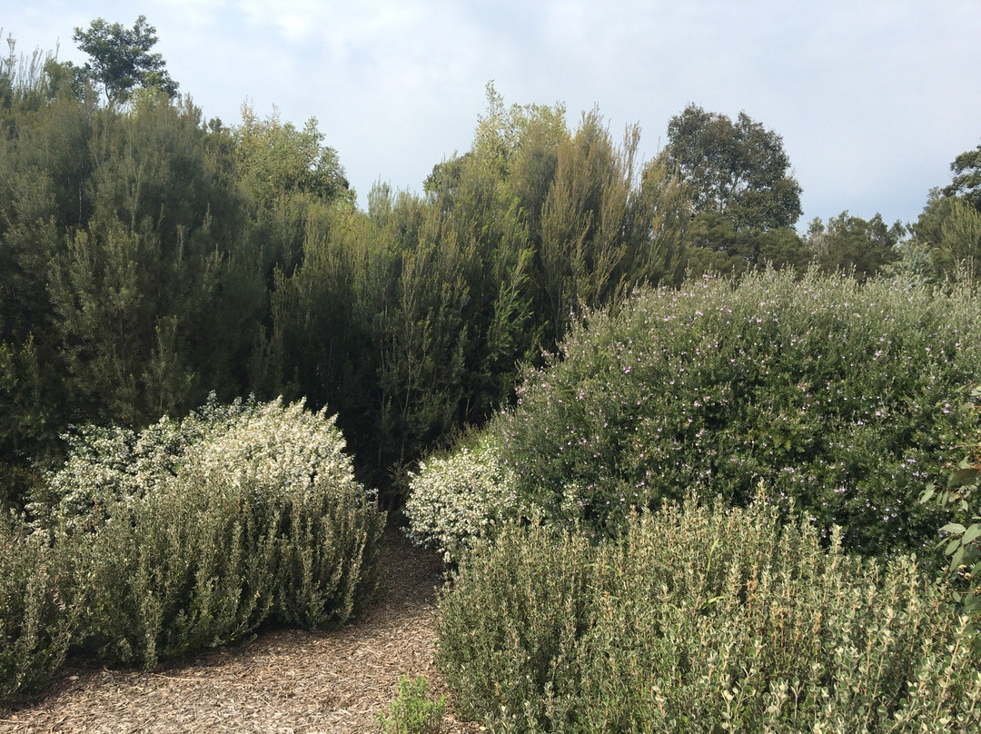 Botanic Ridge Wetlands-Cranbourne必去景点