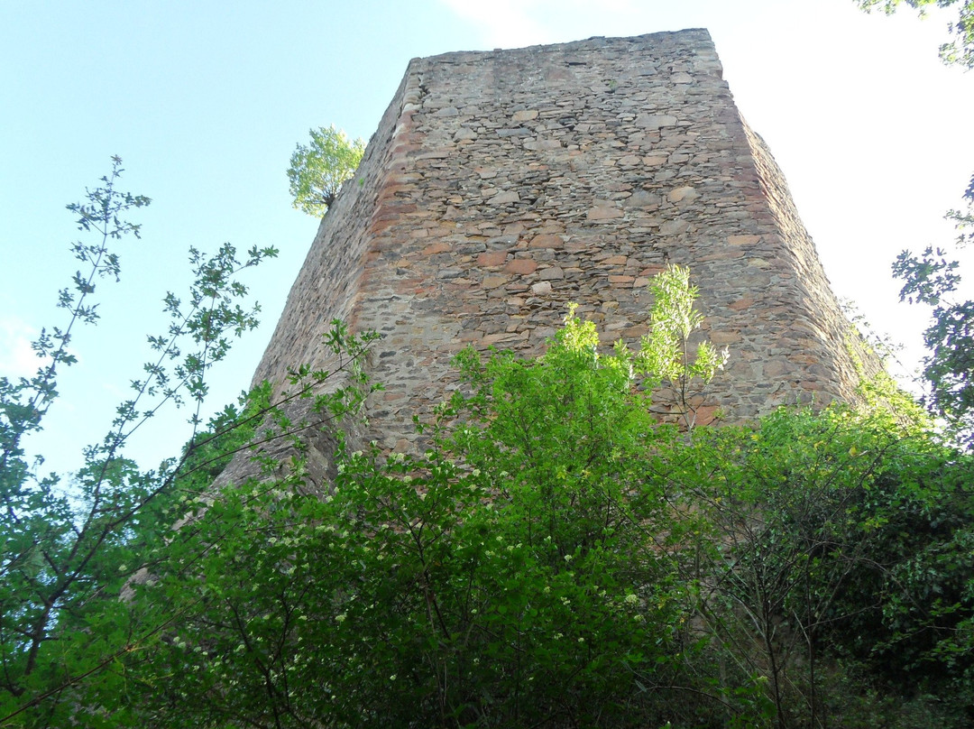 Michelsburg景点图片